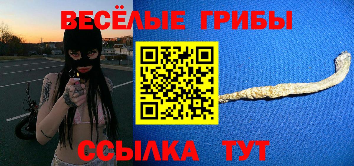 Псилоцибиновые грибы мухоморы Северск